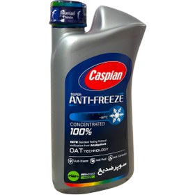 تصویر ضدیخ کاسپین مدل Four Seasons حجم ۰.۹ لیتر 