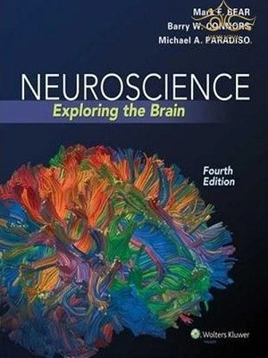 خرید و قیمت کتاب Neuroscience : Exploring the Brain | ترب