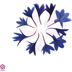 تصویر گل خشک گندم 