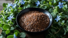 تصویر تخم کتان - ۱سیر Flax seeds