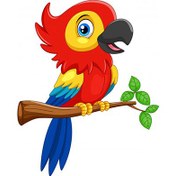 تصویر کاراکتر کارتونی طوطی قرمز خنده دار – Funny red parrot cartoon 