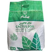 تصویر خاک کاکتوس 10 لیتری بهکام | خاک مخصوص ساکولنت 10L Cactus Soil