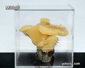 تصویر دکوری سنگ زینتی کلسیت 