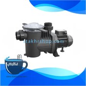 تصویر پمپ تصفیه استخر ساچی مدل Winner-100M 