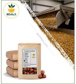 تصویر فندق بوداده فله 