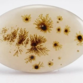 تصویر سنگ شجر کد 2323 