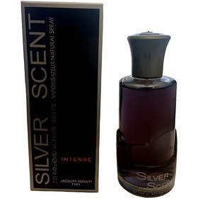 تصویر Luca Bossi Silver Scent Intense For Men EDT - 100ml - سیلور سنت اینتنس 