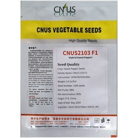 تصویر فلفل کاپی سنیوس 2103 F1 