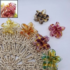 تصویر کلیپس گل پلومریا 