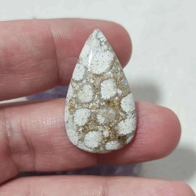 تصویر نگین مرجان فسیلی اصل 13 