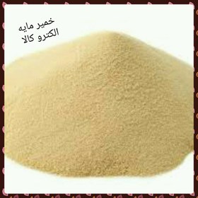 تصویر خمیر مایه خمیر مایه 250گرمی