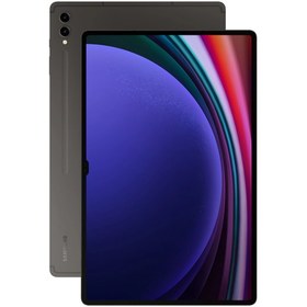 تصویر تبلت سامسونگ مدل Galaxy Tab S9 Ultra ظرفیت256 گیگابایت و رم 12 گیگابایت 