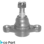 تصویر سیبک طبق پایین کیا اپیروس 