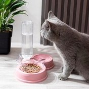 تصویر ظرف آب و غذای دو قلو خرسی گوش دار سگ و گربه 