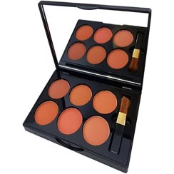 تصویر پالت رژ گونه 6 رنگ دایسل Daycell اصلی 