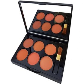 تصویر پالت رژ گونه 6 رنگ دایسل Daycell اصلی 