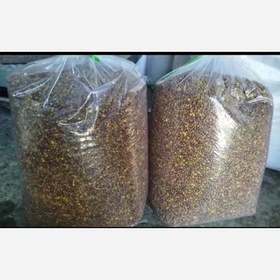 تصویر مغز پسته کوهی (ون) نیم کیلویی 