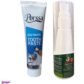 تصویر خمیر دندان و اسپری خوشبو کننده دهان سگ و گربه پرسا (Perssa) مدل Mint بسته 2 عددی 