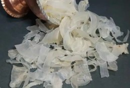 تصویر کتیرا صدفی 