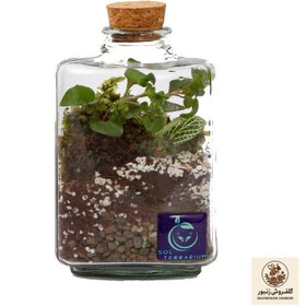 تصویر حلوا | کد: ZNB-13LX 