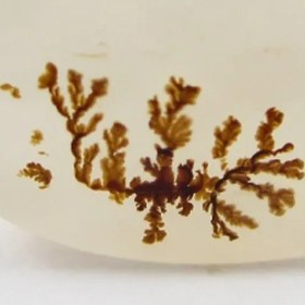 تصویر سنگ شجر کد 2327 