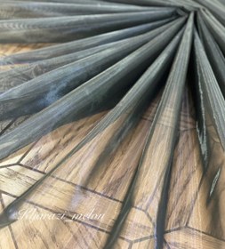 تصویر تور زونیکس 