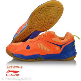 تصویر کفش بدمینتون لی نینگ Li-Ning AYTM025-2 