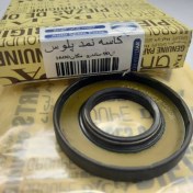 تصویر کاسه نمد پلوس L90 و ساندرو برند داچیا 