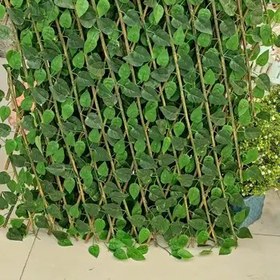 تصویر گل مصنوعی مدل پرچین سبز 