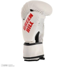 تصویر دستکش بوکس گرین هیل super aiba w.r - ۱۰ 