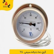 تصویر گیج دما دنباله سیمی، ترمومتر TG 