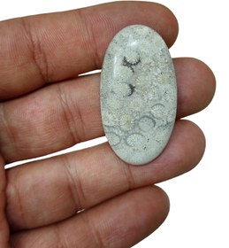 تصویر نگین فسیل سنگی مرجان 