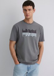 تصویر تیشرت مردانه خاکستری ماوی | 612992 