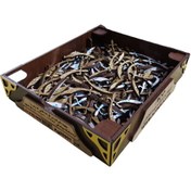 تصویر پکیج اقتصادی 200 عددی استیکر خنجر 