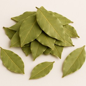 تصویر برگ بو درجه 1 (کیلویی) 