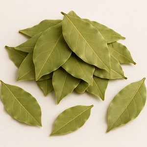 تصویر فروشگاه بنکداری پناهی