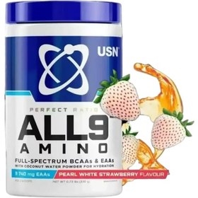 تصویر امینو یو اس ان آل 9 آمینو 330 گرم – USN All 9 Amino 