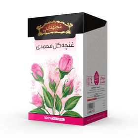 تصویر غنچه گل محمدی مجتهدی 