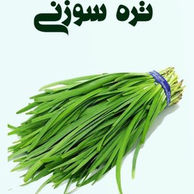تصویر تره سوزنی 