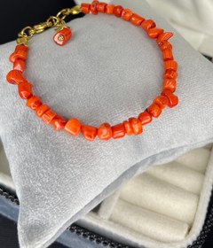 تصویر مرجان قرمز 