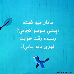 تصویر پیشی باید بخوابد (سلام نابغه 3) پیشی باید بخوابد (سلام نابغه 3)