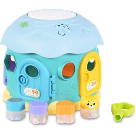 تصویر کلبه / قارچی / اشکال 