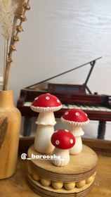 تصویر قارچ - هشت سانت 