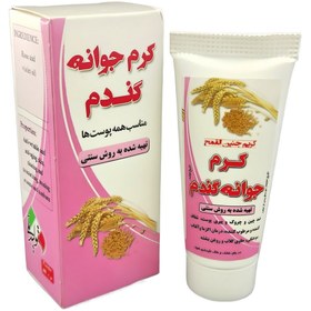 تصویر کرم جوانه گندم نیکا (45 گرم) 