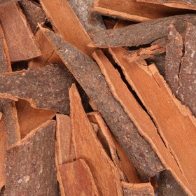 تصویر دارچین برگ 