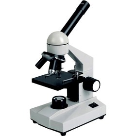 تصویر میکروسکوپ تک چشمی ۶۴۰ برابر 