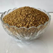 تصویر تخم شنبلیله 