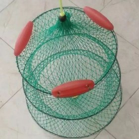 تصویر زنده نگهدار ماهی سه شناوره 