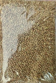 تصویر عدس ریز کانادایی ۵۰۰ گرم 