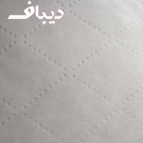 تصویر بالش دیباف 1000 گرمی 